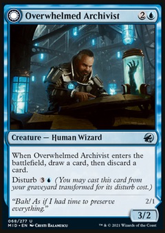 Overwhelmed Archivist